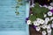 Fresh bright white and purple flowers in the window against the background of an open blue wooden casement