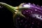 Fresh_Brinjal_vegetable_with_water_droplets1_1
