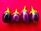 Fresh Brinjals on a pink background