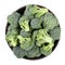 Fresh broccoli in a clay bowl isolated on white background.  File contains clipping path