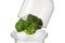 Fresh broccoli on a glass stand, slightly open the glass cover on top, concept of valuable product and benefits, on a white