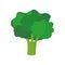 fresh broccoli icon