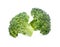 Fresh broccoli isolate on white background