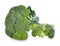 Fresh broccoli isolate on white background