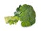 Fresh broccoli isolate on white background