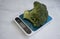 Fresh broccoli kitchen scale  snack  agriculture  gourmet health  on a light background