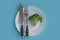 Fresh broccoli, plate fork, knife   dietary  calories  a colored background