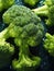 Fresh broccoli ready to eat or mix in a salad