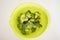 Fresh broccoli stems in vibrant green bowl