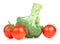 Fresh Broccoli and three red juicy tomato Isolated