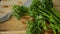 Fresh Broccolini vegetables on a cutting board