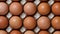 Fresh brown eggs in a cardboard tray full frame close up