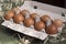 Fresh brown eggs in a special cardboard box egg tray decorated with hay. Egg storage concept, preparing for Easter