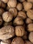 Fresh brown walnuts on display at market