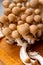 Fresh buna brown shimeji edible mushrooms from Asia, rich in umami tasting compounds such as guanylic and glutamic acid