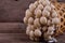 Fresh buna-shimeji brown beech mushroom in basket and on woode