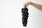 Fresh bunch of purple black grapes on hand over white background. Kyoho Grape