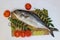 Fresh Butter Fish Amberjack Fish Allied kingfish (Seriola Dumerilli) Decorated with herbs and vegetables.