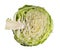 Fresh cabbage isolated