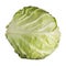 Fresh cabbage isolated