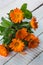 Fresh calendula flowers