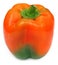 Fresh Capsicum