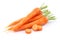 Fresh carrot