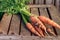 Fresh carrot bunch on grungy wooden background