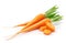 Fresh carrot fruits with green leaves