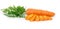 Fresh carrot green on the white background