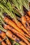 Fresh carrot harvest...