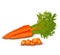 Fresh carrot isolated