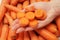Fresh carrot pieces