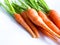 Fresh carrot root vegetables