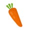 Fresh carrot. Vector flat cartoon