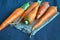 Fresh carrots closeup on a dark tablecloth