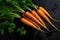 Fresh carrots on a dark background, with water droplets on the surface.