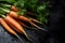 Fresh carrots on a dark background, with water droplets on the surface.