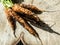 Fresh carrots freshly picked in the natural garden, dirty soil on a wooden trunk