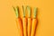 Fresh carrots on orange background with copy space. Vegan diet, healthy organic food, vegetables, cooking and food preparation