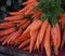 Fresh Carrots For Sale