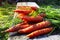 Fresh carrots in sunny day on wooden table background