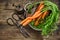 Fresh carrots with vintage kitchen utensils. Country style food