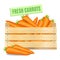 Fresh carrots in a wooden box on a white background. Vector