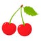 Fresh cartoon red pair cherries icon logo emblem isolated on white background. Vector illustration for any design