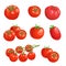 Fresh cartoon tomatoes. Whole red vegetables in flat design. Single and group farm fresh tomatoes. Vector illustrations isolated o