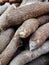 Fresh cassava in supermarket