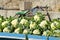 Fresh cauliflower vegetable in asia street market