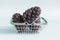 Fresh cedar cones in a metal basket on a colored background.