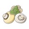 Fresh champignons icon, cartoon style